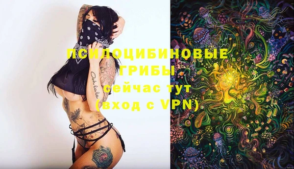 бошки Дмитровск