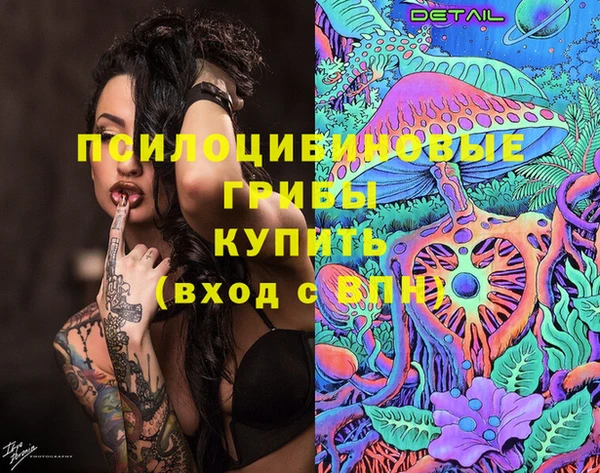 винт Дмитров