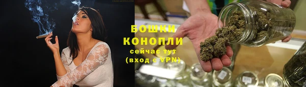 винт Дмитров