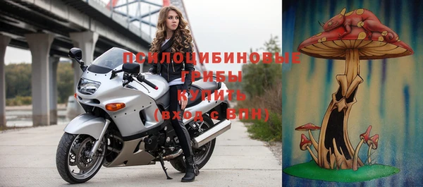 бошки Дмитровск