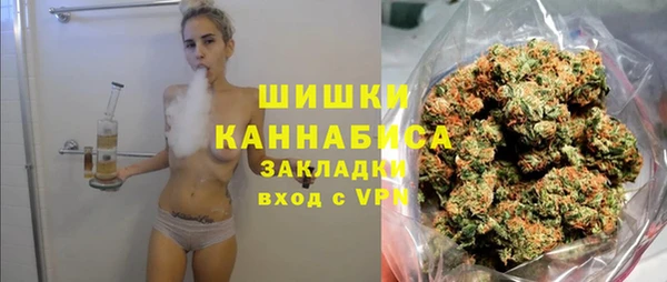 винт Дмитров