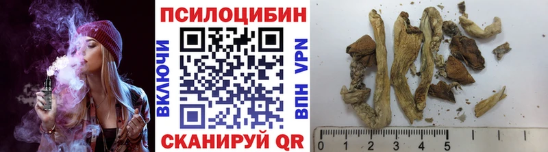 Купить закладки  Нефтеюганск  Псилоцибиновые грибы GOLDEN TEACHER 